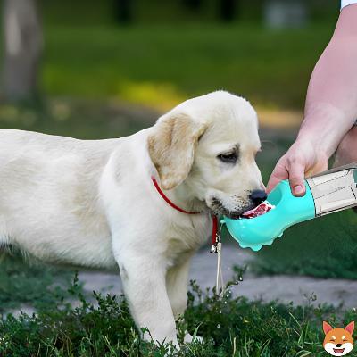 Gourde pour chien pratique 