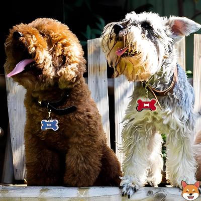 Médaille chien os rouge et os bleu