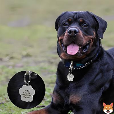 Médaille chien patte argent