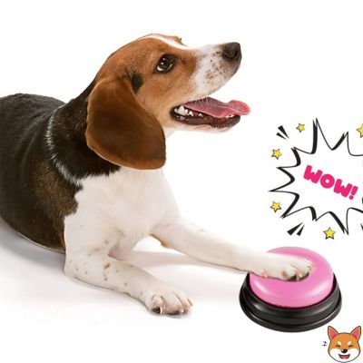 Bouton de communication chien - SOUND BOX™